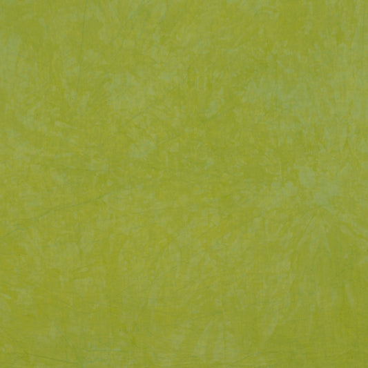 Desert Garden: Moss