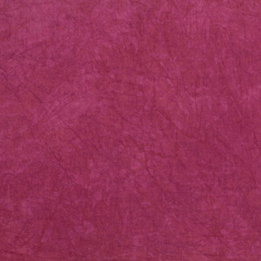 Desert Garden: Wine