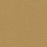 Mammoth Flannel Solids: Camel