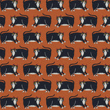 Cat's Meow: Cat Stripe in Orange