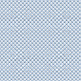 Homegrown Preserves: Checkered Apron in Blue