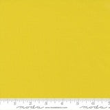 Bella Solids: Citrine