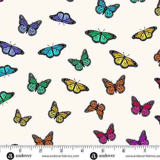 Color Wheel: Butterfly Rainbow in Day