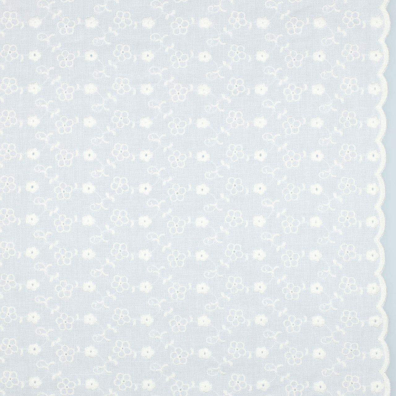 Embroidered Scallop Cotton: Ditsy Floral in White
