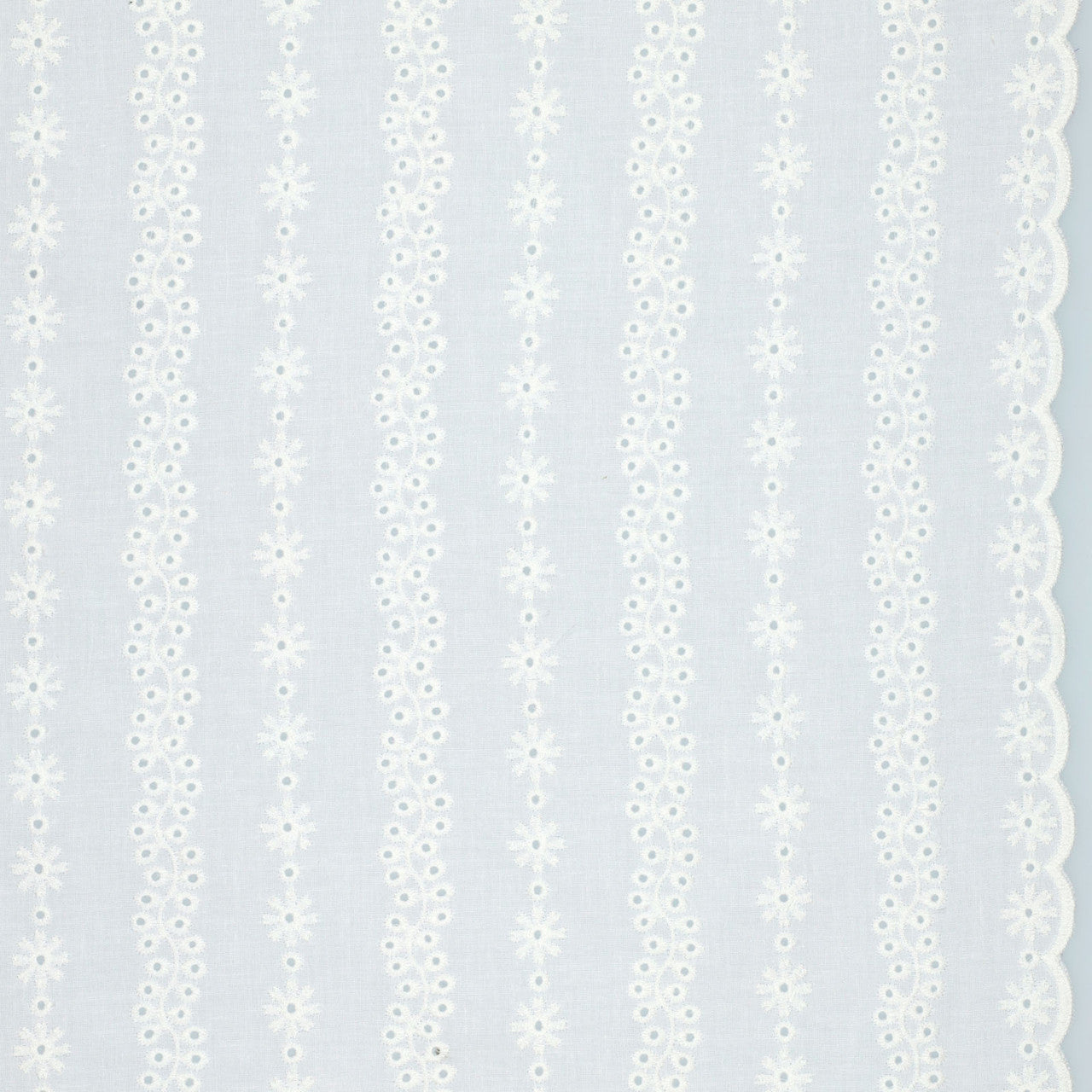 Embroidered Scallop Cotton: Floral Wallpaper Stripe in White