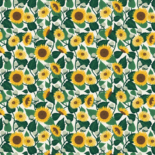 Curio: Sunflower Fields in Cream