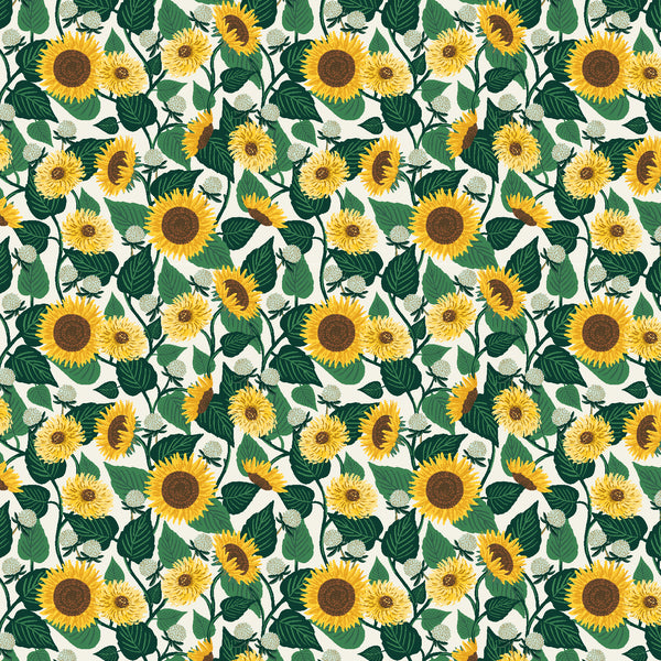 Curio: Sunflower Fields in Cream