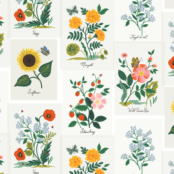 Curio: Botanical Prints in White