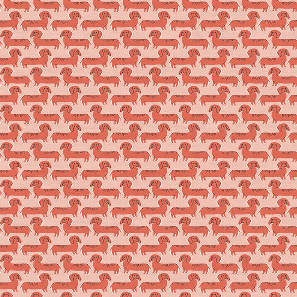 Best in Show: Dachshund