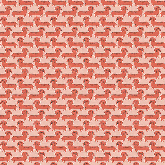 Best in Show: Dachshund