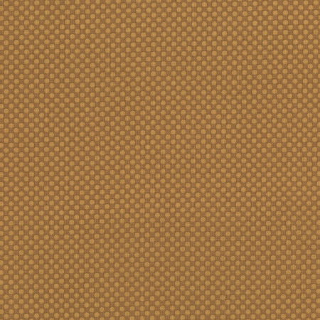 Dot Com: Fawn