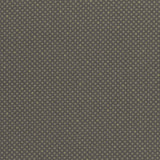 Dot Com: Shadow