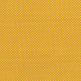 Dot Com: Sunflower