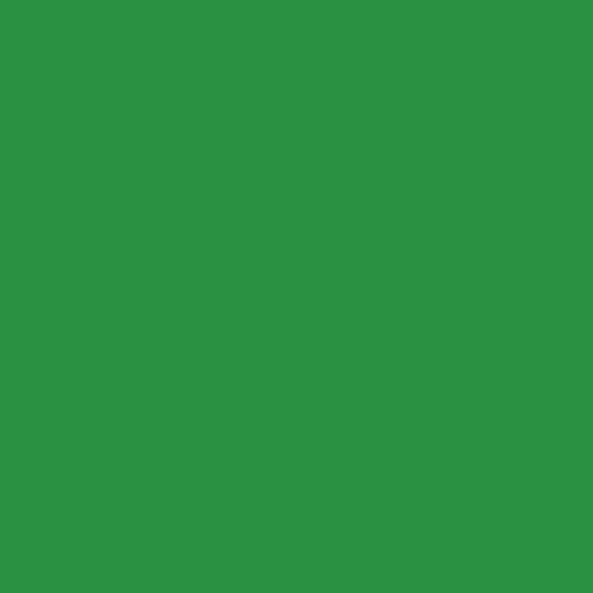 Ruby and Bee: Evergreen