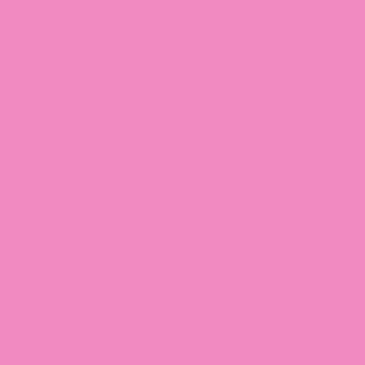Ruby and Bee: Fairy Floss