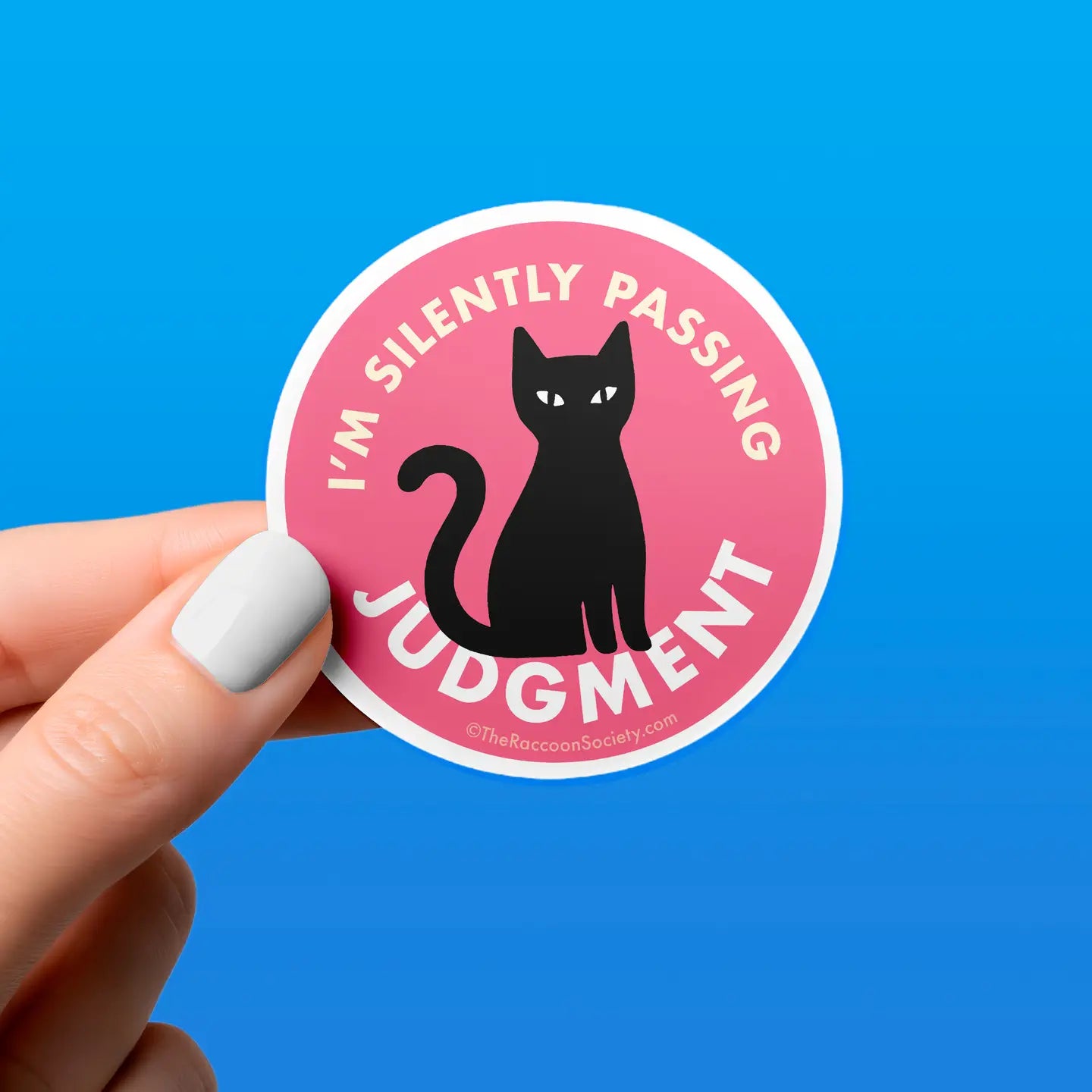 The Raccoon Society Vinyl Stickers