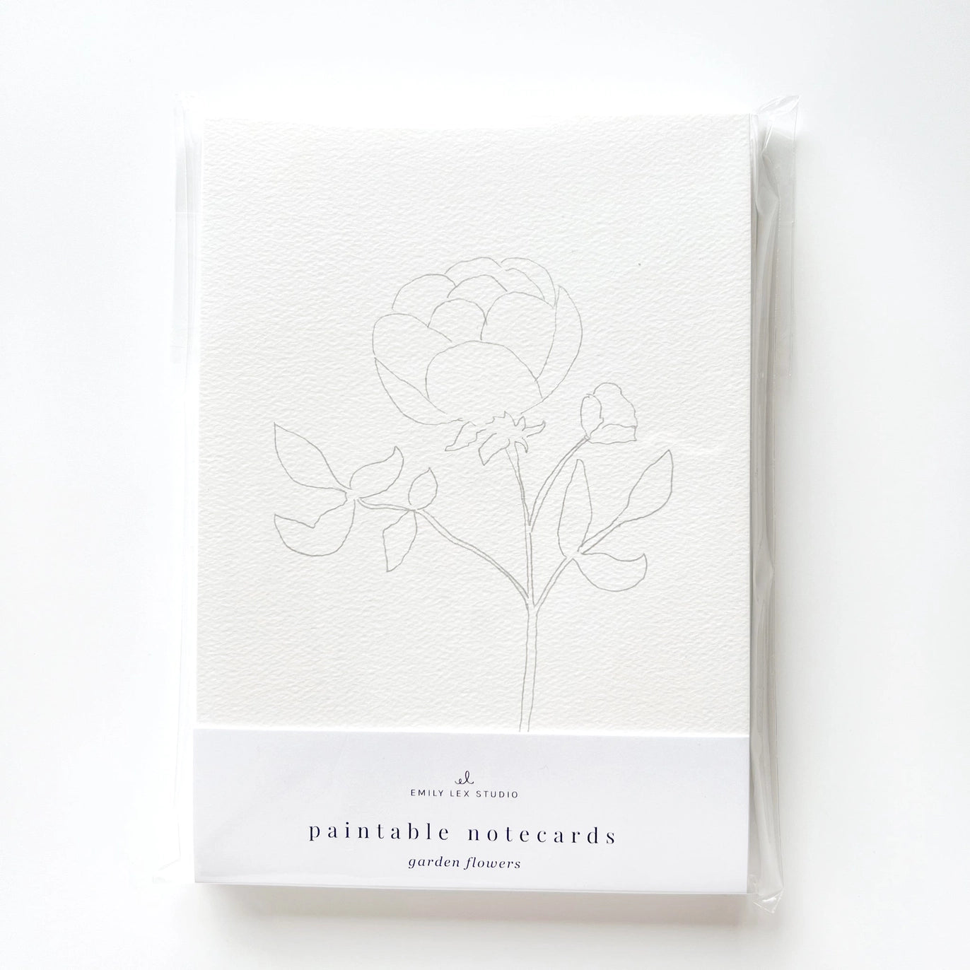 Emily Lex Studio - Paintable Notecards in Multiple Designs