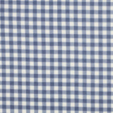 Flannel: Checks in Blue