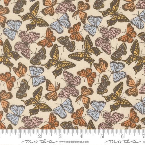 My Secret Garden: Flitter Flutter in Cloud