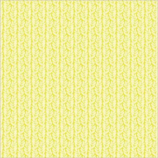 Foliage: Foliage in Citrus