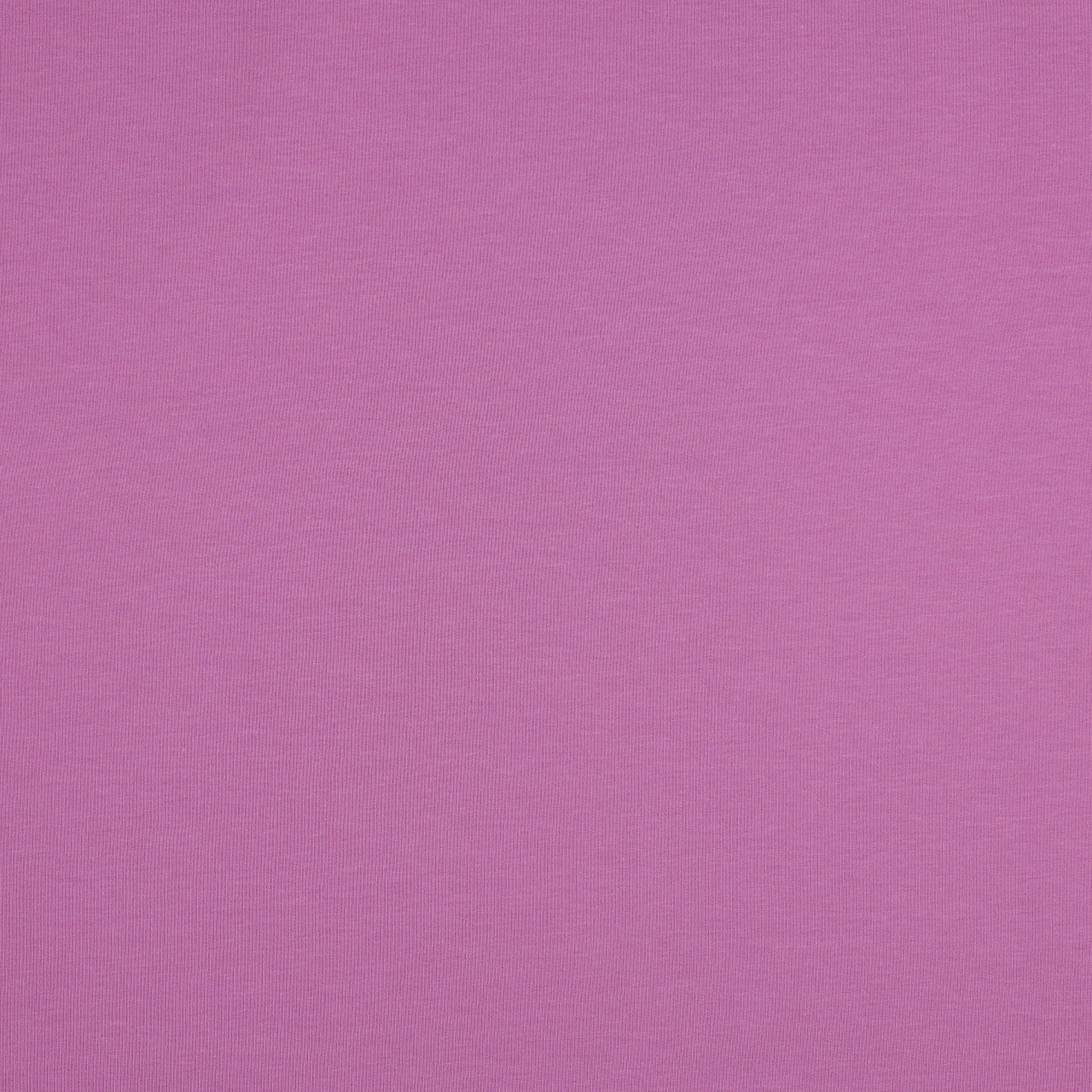 French Terry GOTS in Light Violet