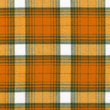 Mammoth Flannel Game Day: Ember