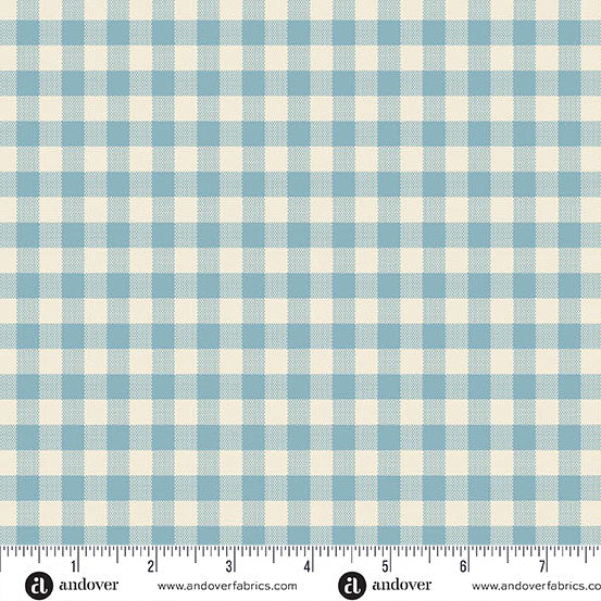 Special Delivery: Gingham in Chambray