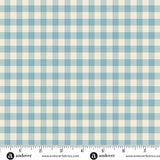 Special Delivery: Gingham in Chambray