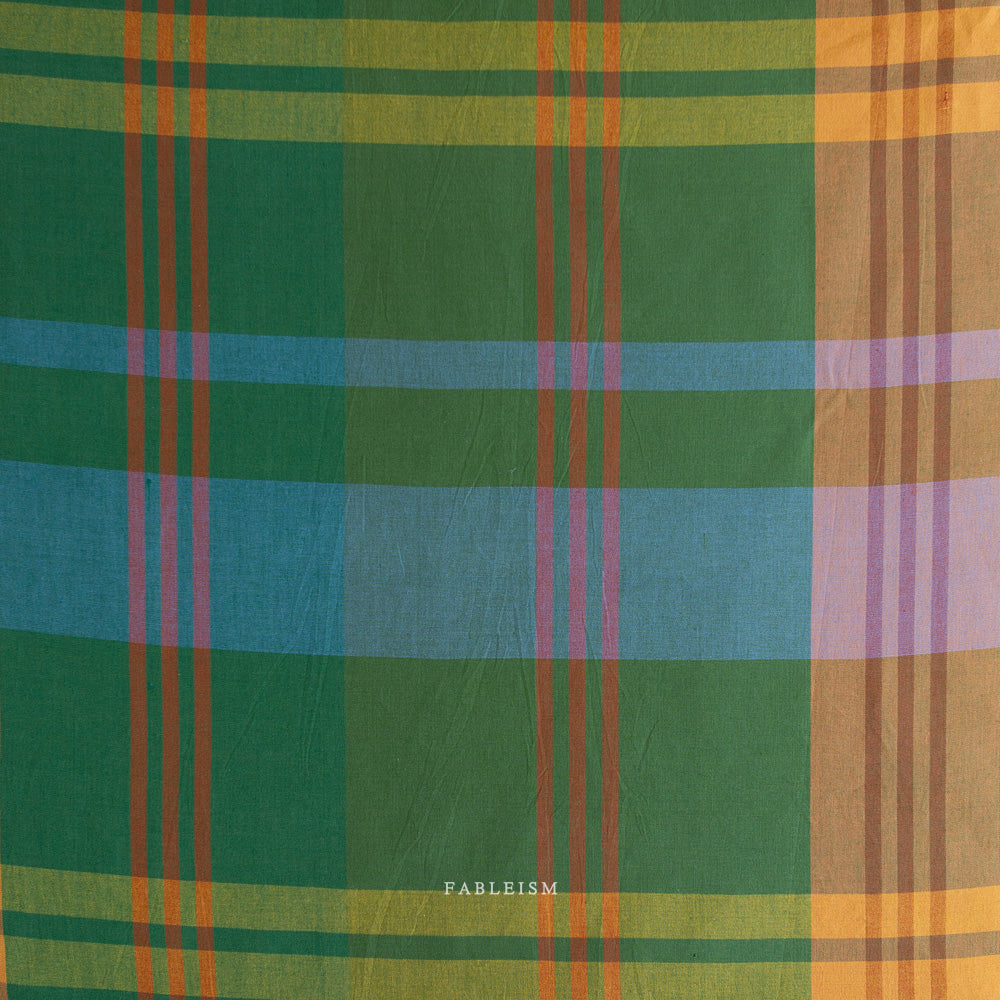 Lumiere: House Dress in Academia