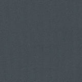 Big Sur Canvas - Dark Gray