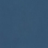 Big Sur Canvas - Denim