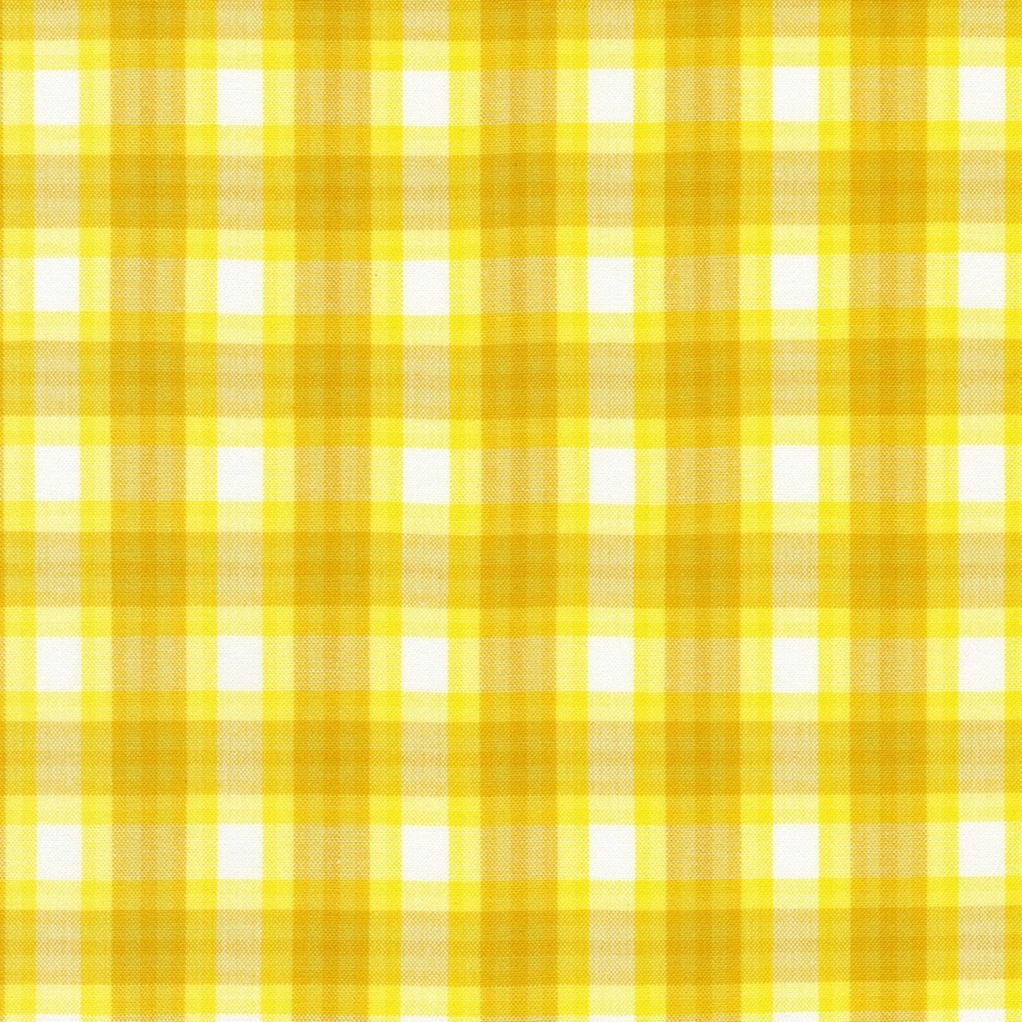 Kitchen Window Wovens: Citrus