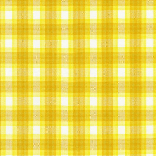 Kitchen Window Wovens: Citrus