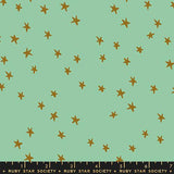 Starry in Moss