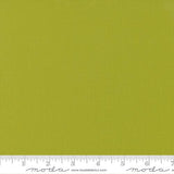 Bella Solids: Pesto