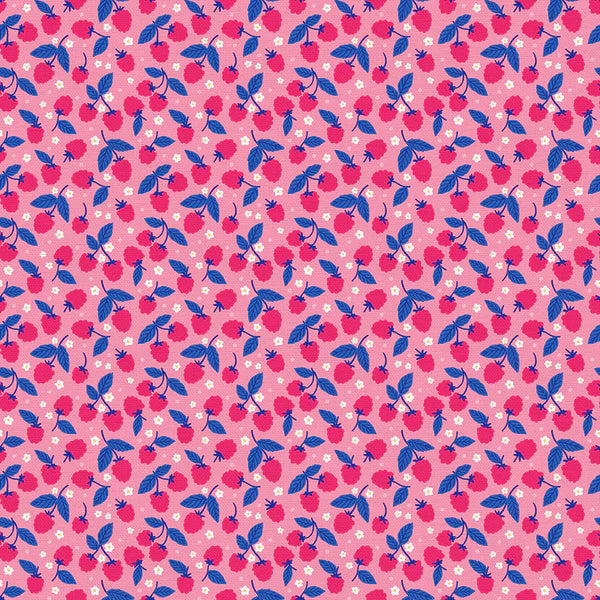 Berries & Blossoms: Raspberry Patch in Pink