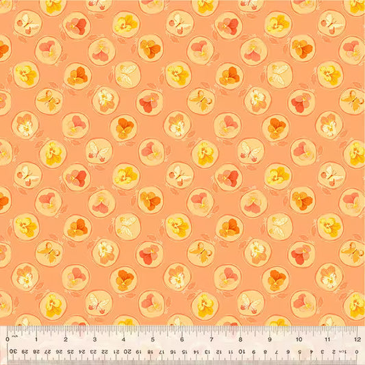 Insectarium: Cameo in Salmon