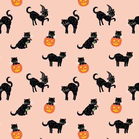 Halloween: Black Cat in Blush