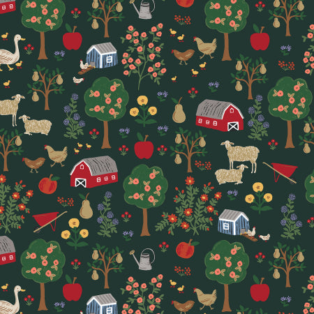 Home Sweet Home: Farmhouse in Evergreen