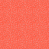 Petals in the Sun: Let Us Live Like Flowers in Blushing Red