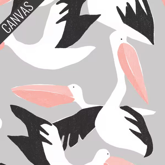 Canvas Collective: Pelicans