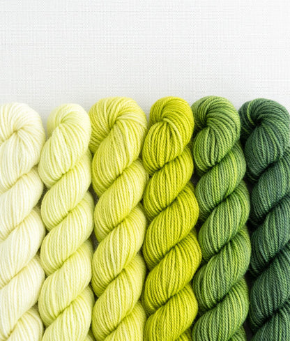 SweetGeorgia: Mini Color Fade/Tough Love Sock