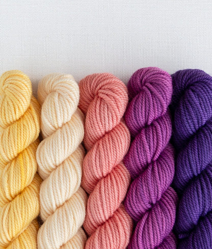 SweetGeorgia: Party of Five Mini-Skein Set