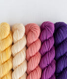 SweetGeorgia: Party of Five Mini-Skein Set
