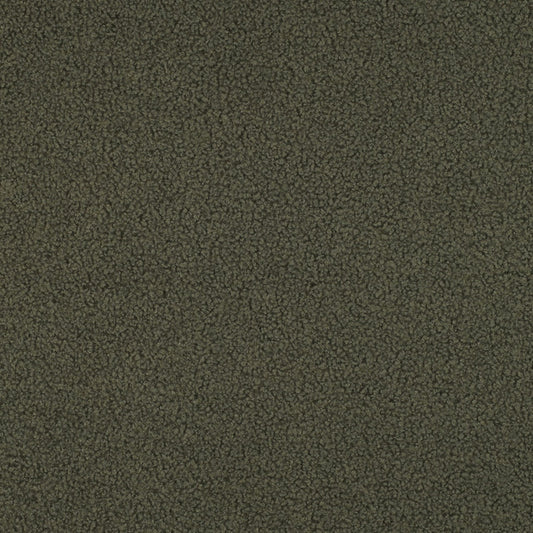 Teddy Fleece Double-Sided in Pickle