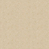 Be Positive Blender - Meet Me At Midnight Unbleached Metallic