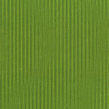 Between The Lines Blender - Aloe