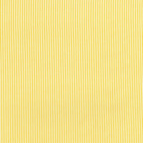 Between The Lines Blender - Daisy