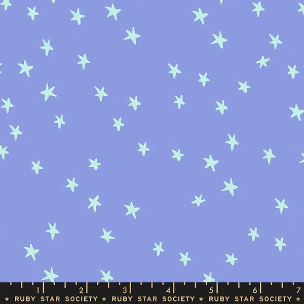Starry in Dusk