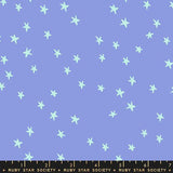 Starry in Dusk